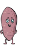 Sweet Potato Root Vegetables