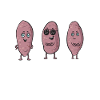 Sweet Potato Root Vegetables
