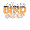 Birdwatching Birdwatcher Ornithologist Zoologist