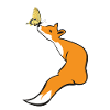 Playful fox with butterfly