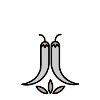 Neuro Spicy - neurodivergence