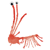MONSTRUMMS No.7