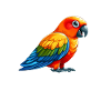 Sun conure