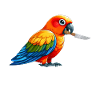 Sun conure