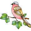 Bunter Vogel