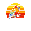 Sun conure