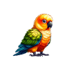 Conure solaire