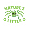 Pet Spider, Tarantula, Spider Lover