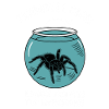 Pet Spider, Tarantula, Spider Lover