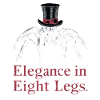 Pet Spider, Tarantula, Spider Lover