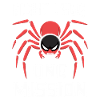 Pet Spider, Tarantula, Spider Lover