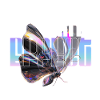 Holo effet papillon