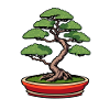 Bonsai Japan Tree