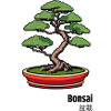 Bonsai Japan Tree