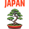 Bonsai Japan Tree