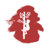 Kletteraffe Aufstieg Baumklettern