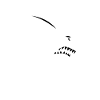 FEAR THE FIN