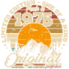 Made in 1975 Birthday Gift 1975 Retro 1975
