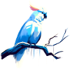 Cockatoo on a branch
