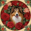 Collie and Red Roses