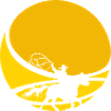 Rodéo de cow-boys