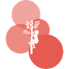 Equipment Tree Climbing