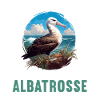 Albatross Albatrosse Albatros