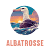Albatross Albatrosse Albatros