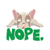 Bouledogue français Stur NOPE Drôle