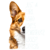 Cadeau gallois Terrier