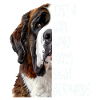 Saint Bernard Girl Gift