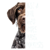 Poodle Pointer Girl Gift