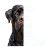 Cadeau Rottweiler Girl
