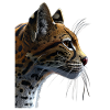 Ocelot