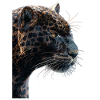 Panthère