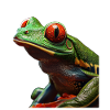 Red-eyed Tree Frog