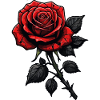 Dark rose illustration with red petals