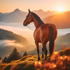 Horse Art