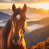 Horse Art