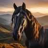 Horse Art