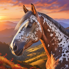 Horse Art