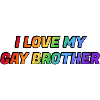 I love my gay brother