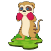 Gants de boxe Meerkat Boxer