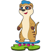Meerkat Skater Skateboard