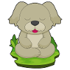 Dog Yoga Fitness Meditation