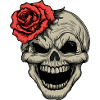 Rebellious skull with red rose