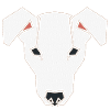 Jack Russell Faces 3a