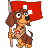 Suisse Fan Teckel