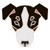 Jack Russell Faces 4a