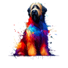 Bunte Splash Art Briard Briards